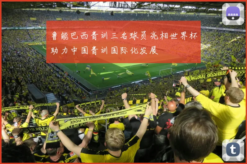 鲁能巴西青训三名球员亮相世界杯助力中国青训国际化发展