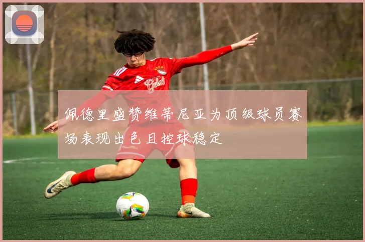 佩德里盛赞维蒂尼亚为顶级球员赛场表现出色且控球稳定